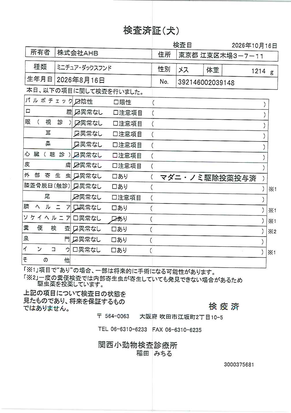 ミニチュア・ダックスフンド