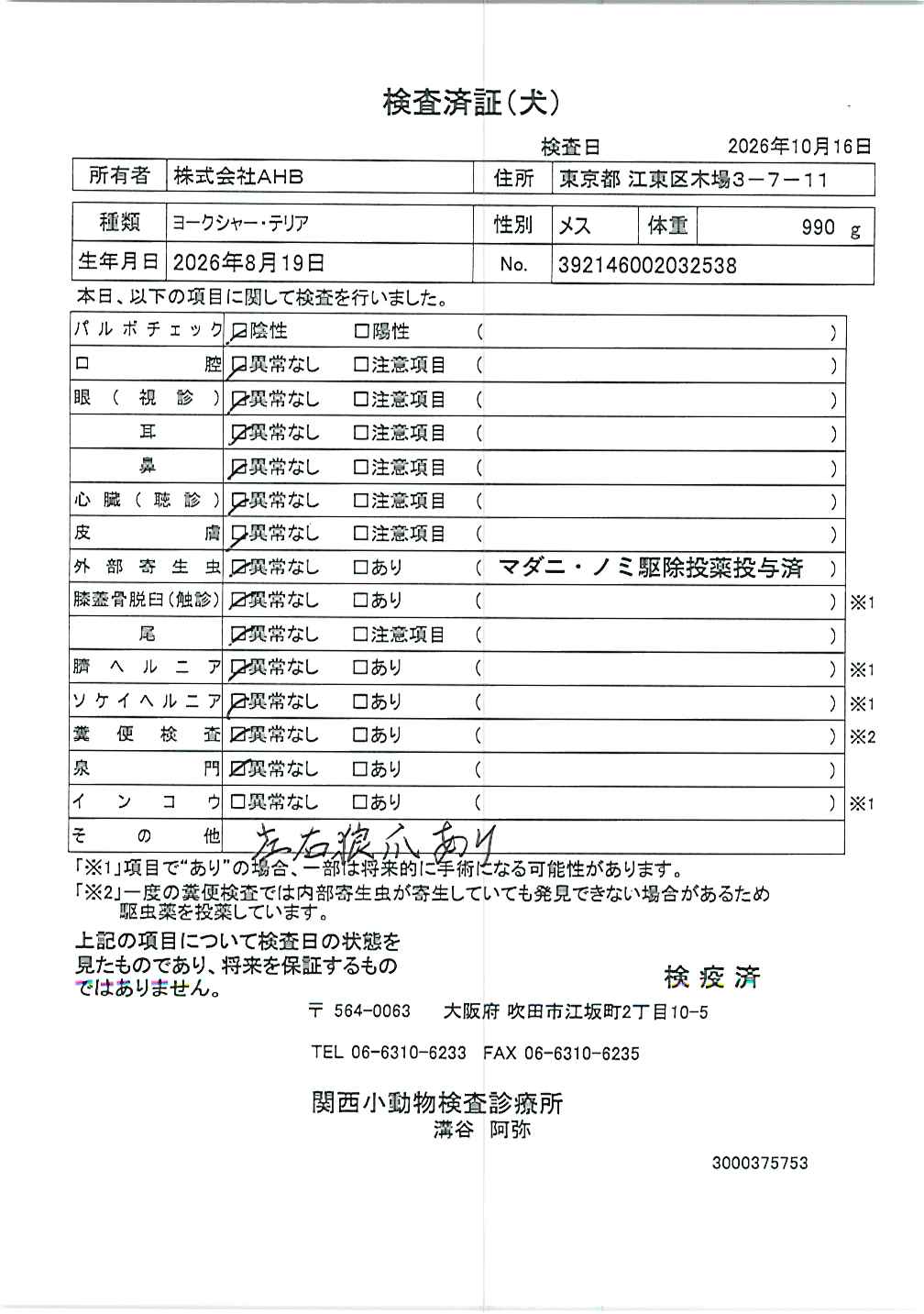 ヨークシャー・テリア