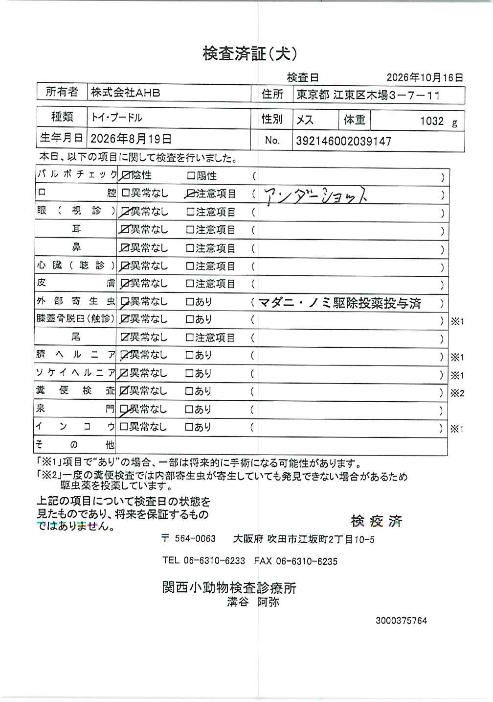 トイ・プードル