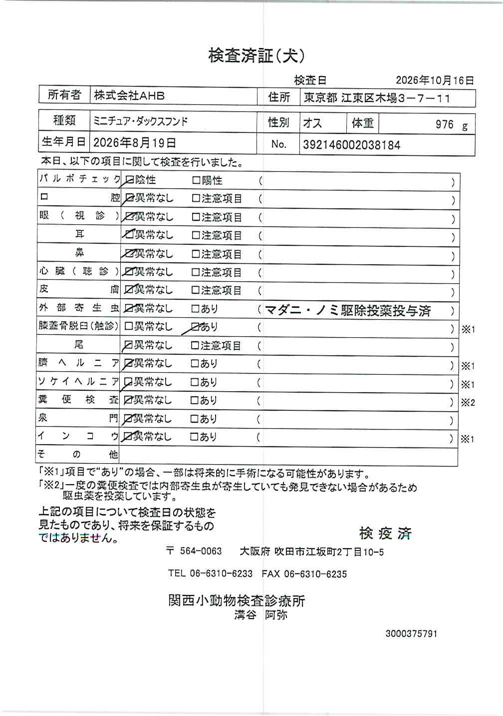 ミニチュア・ダックスフンド