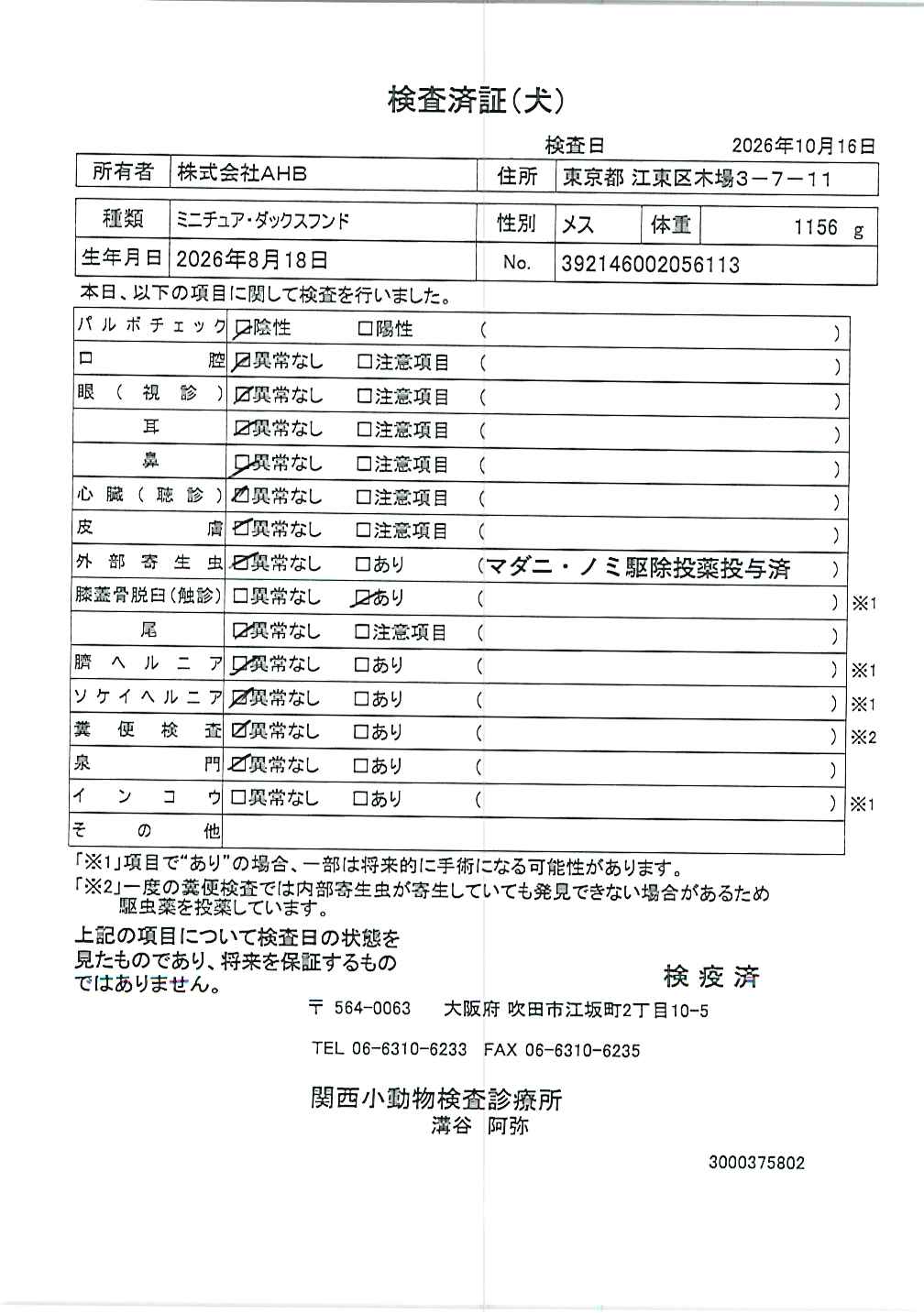 ミニチュア・ダックスフンド
