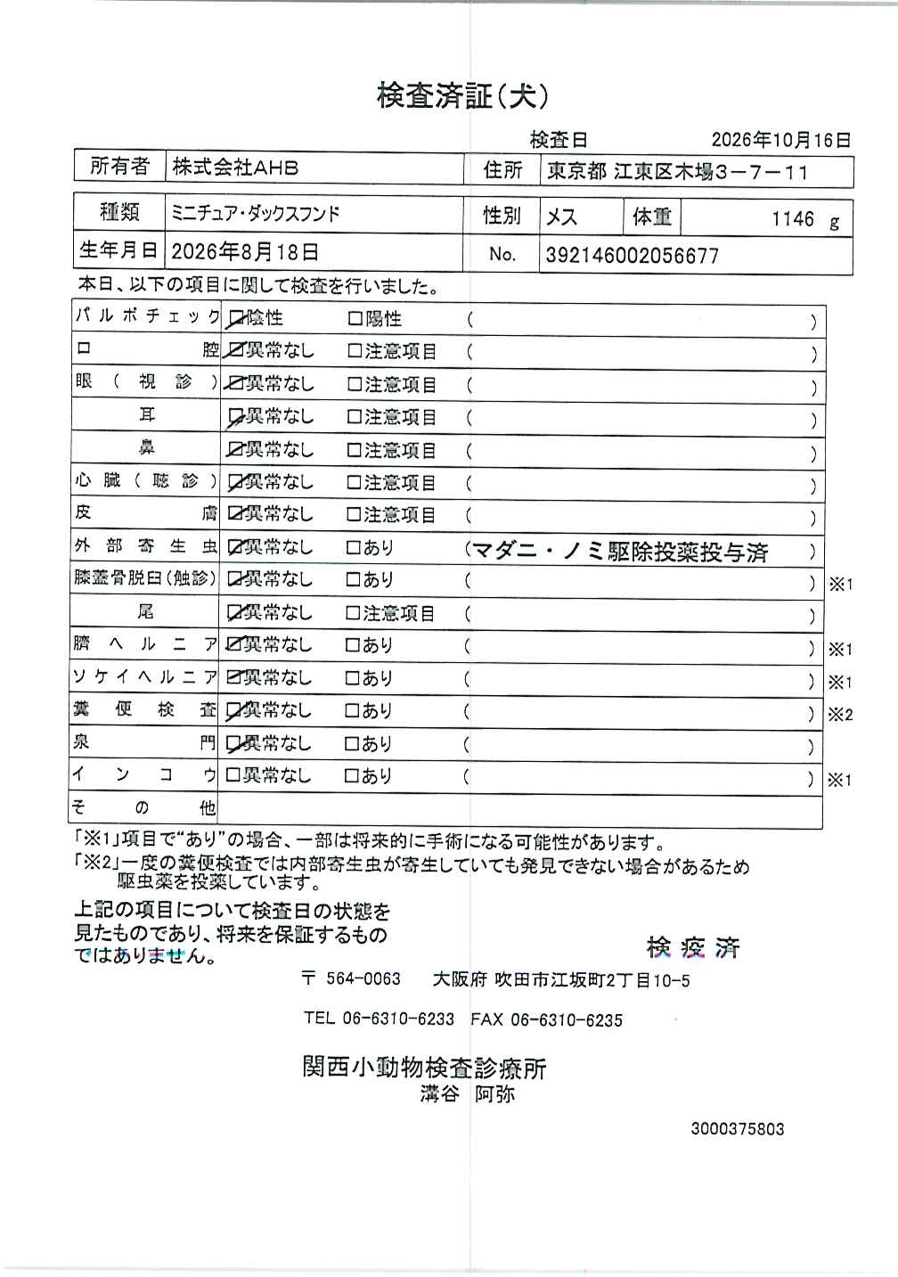 ミニチュア・ダックスフンド