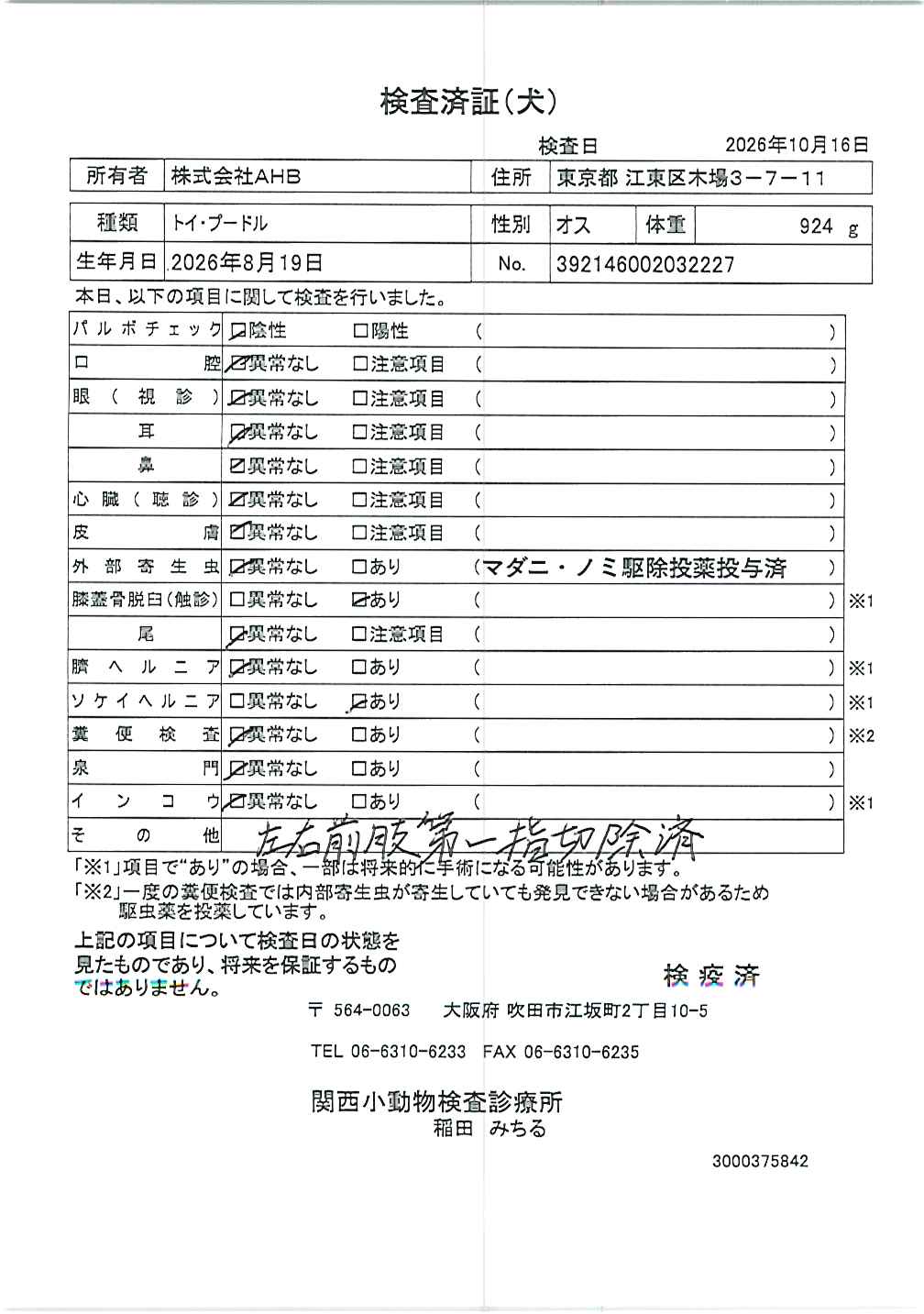 トイ・プードル