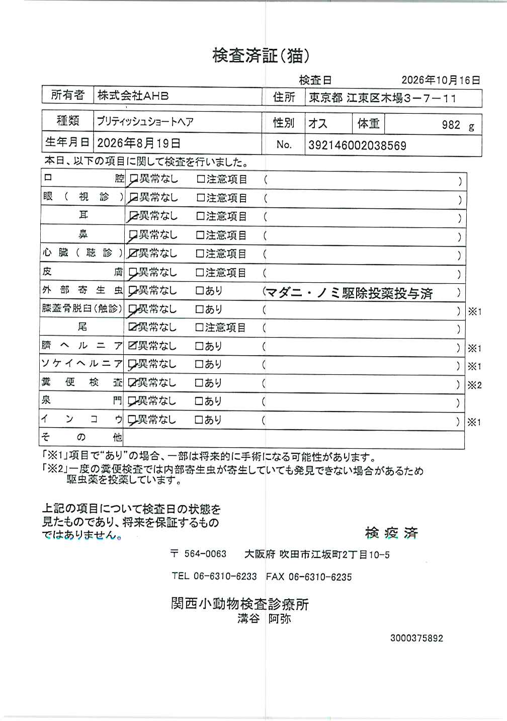 ブリティッシュショートヘア