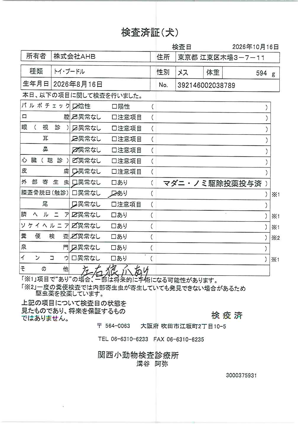 トイ・プードル