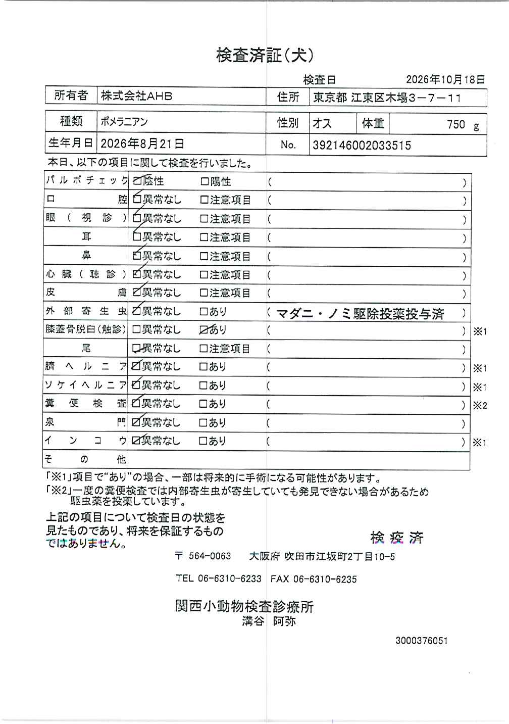 ポメラニアン