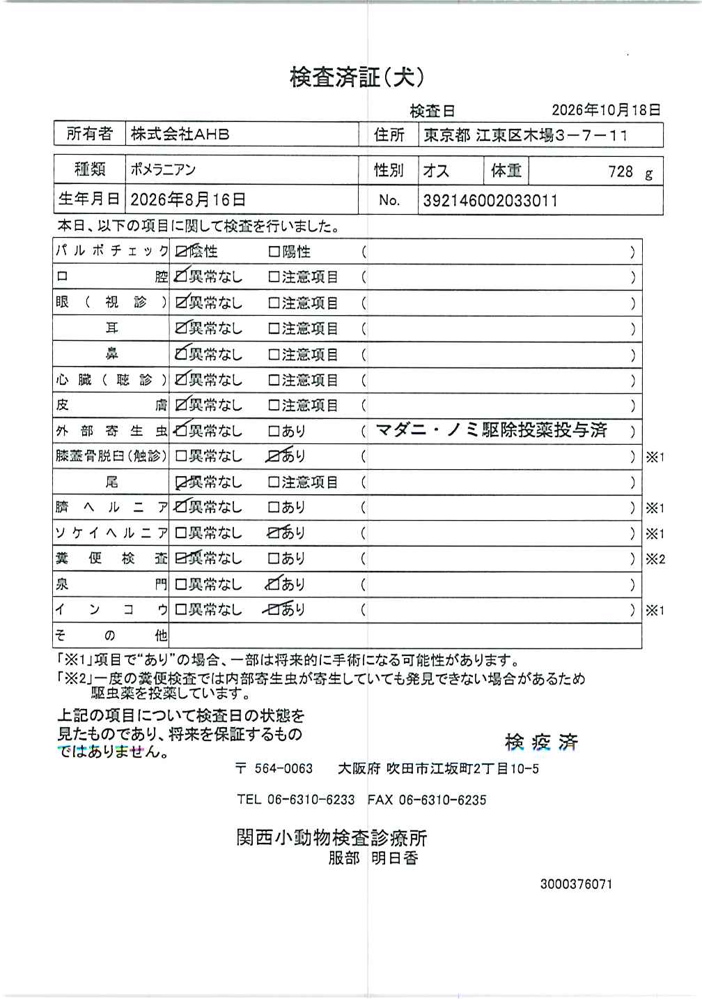 ポメラニアン