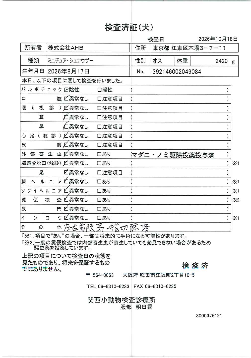 ミニチュア・シュナウザー