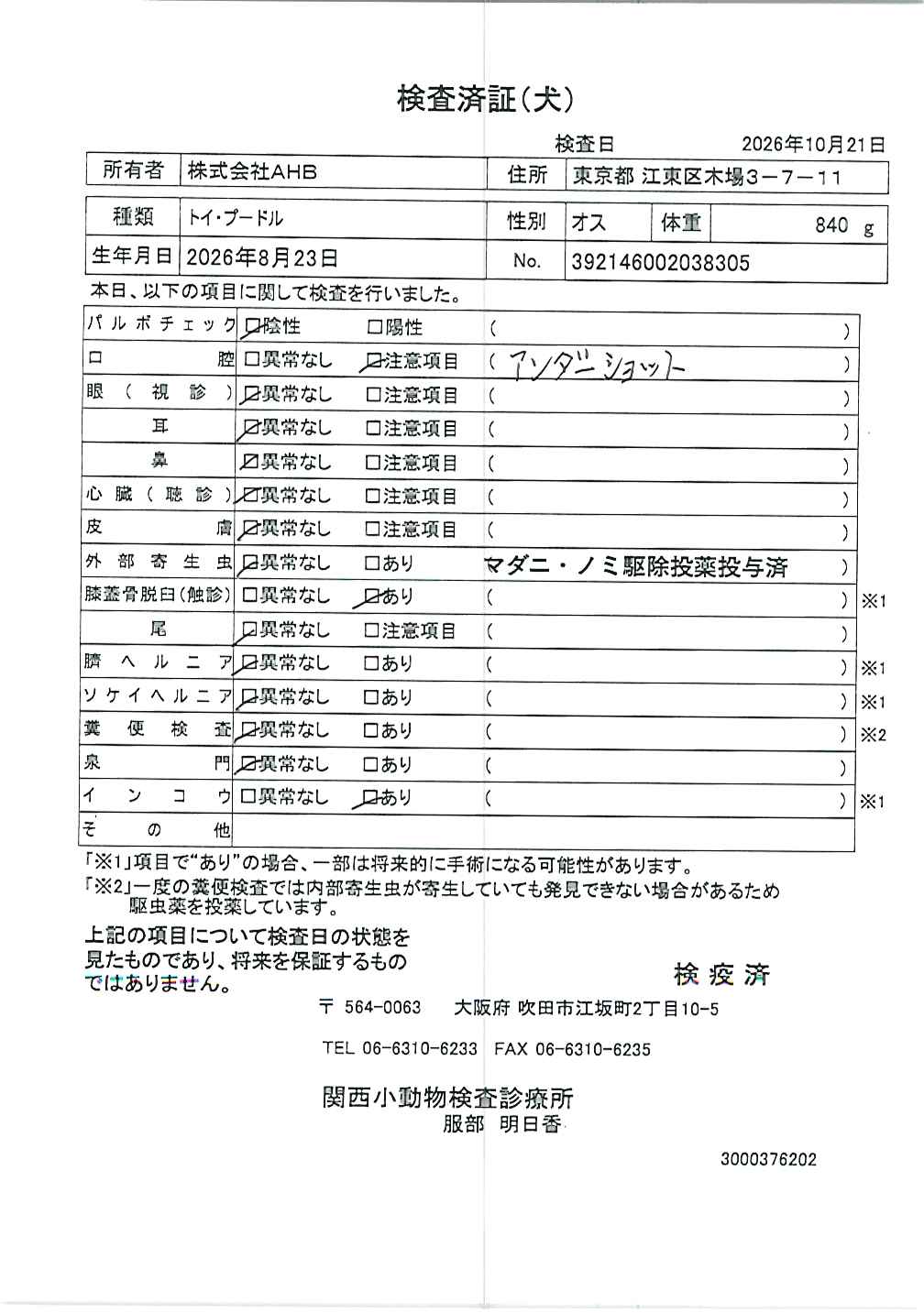 トイ・プードル