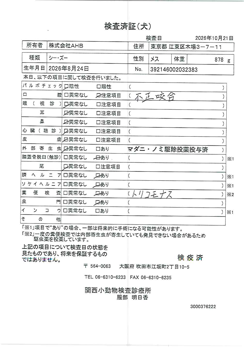 シー・ズー