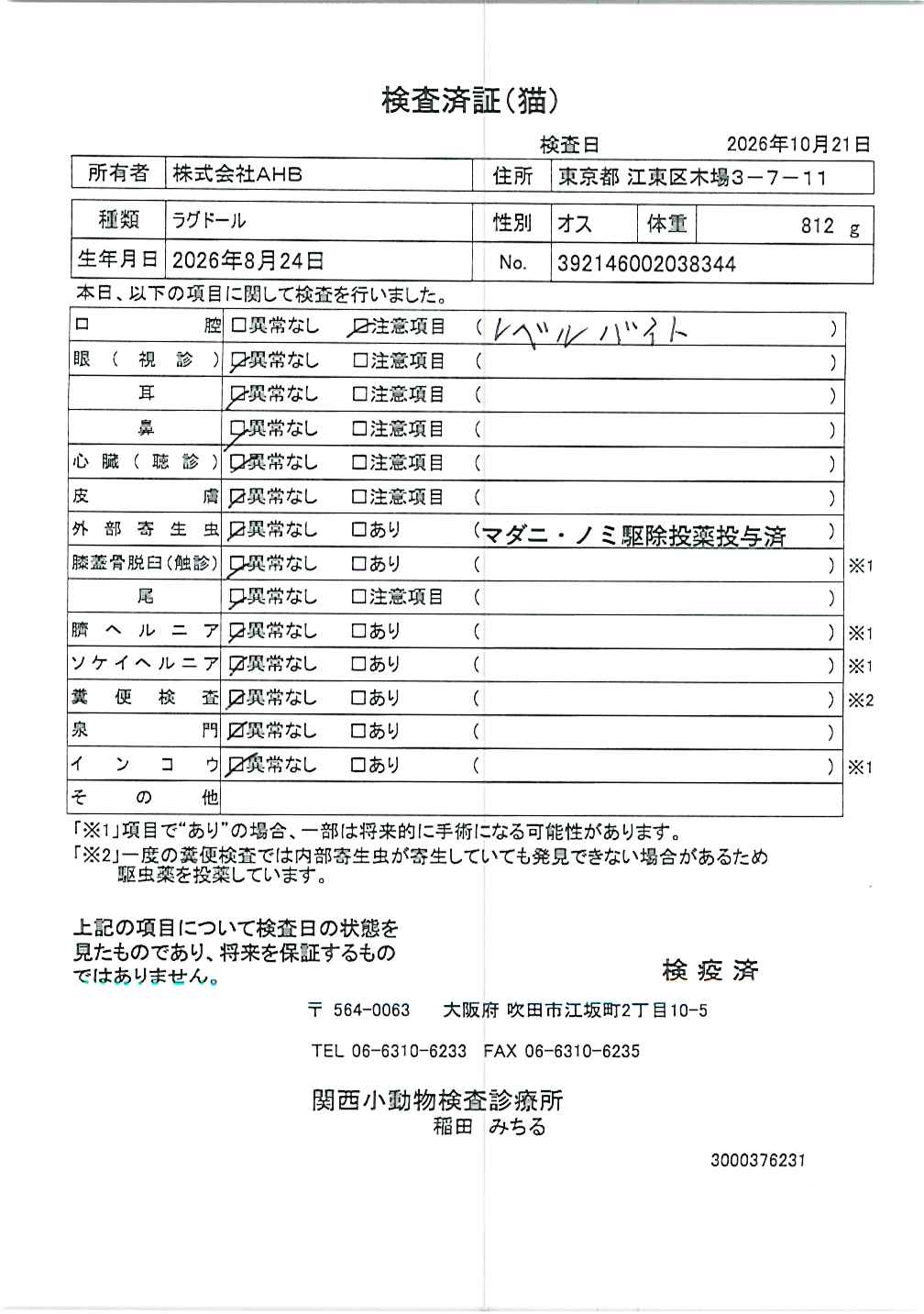 ラグドール