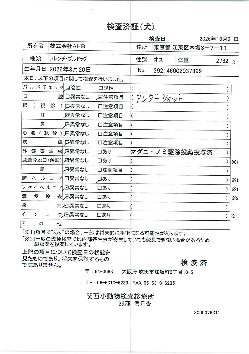 フレンチ・ブルドッグ