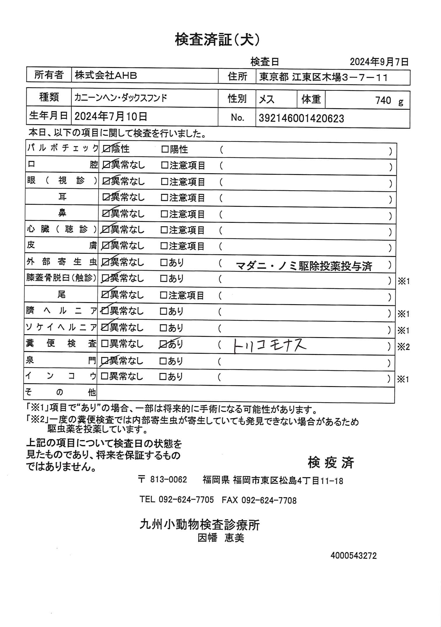 カニーンヘン・ダックスフンド