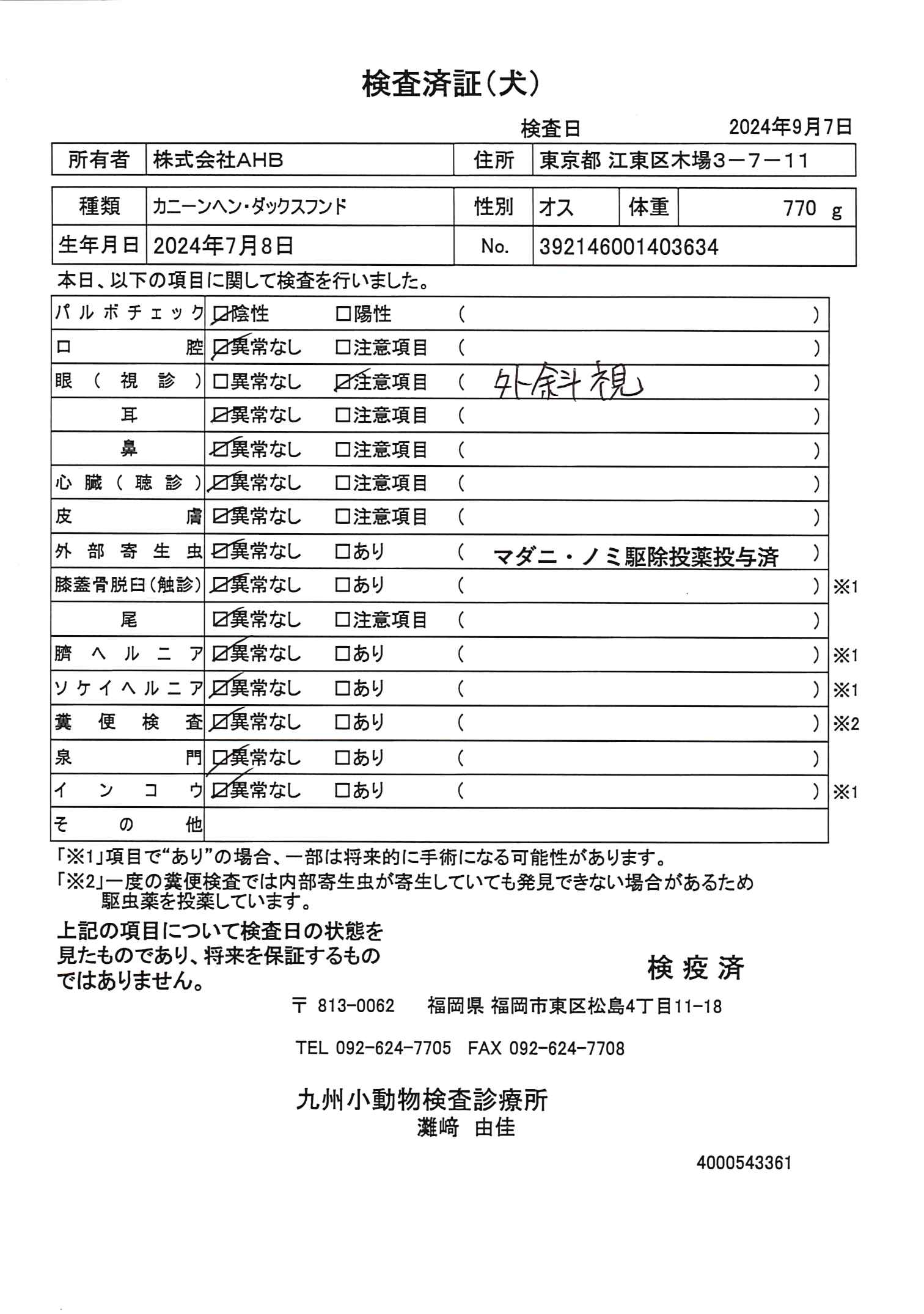 カニーンヘン・ダックスフンド