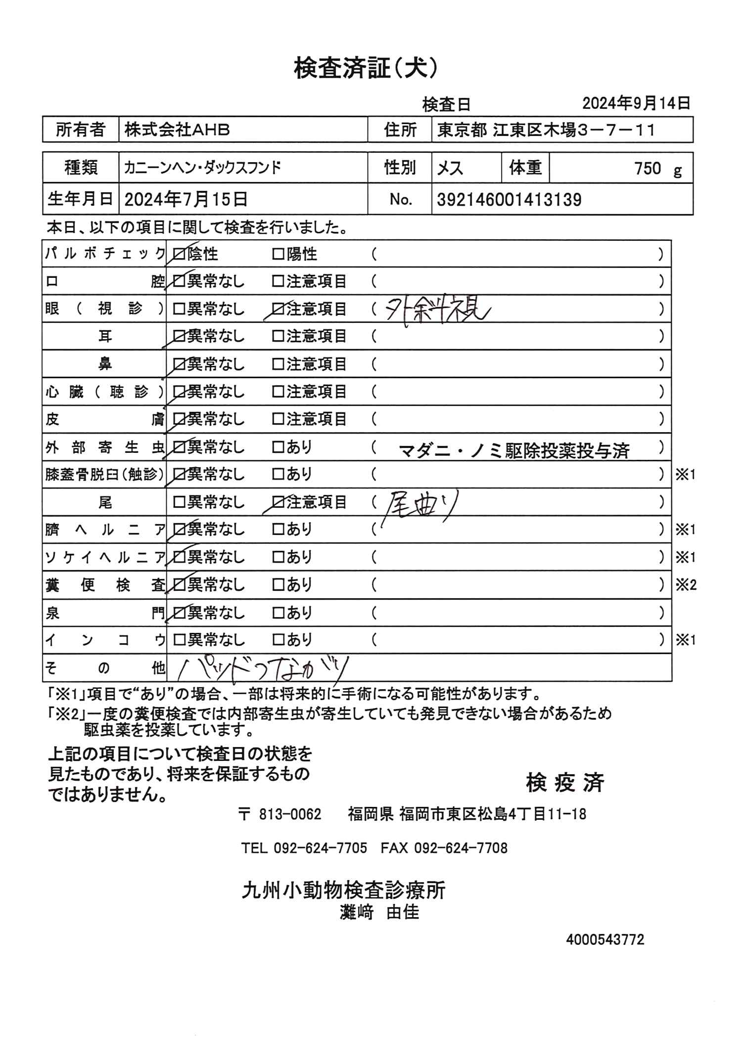 カニーンヘン・ダックスフンド