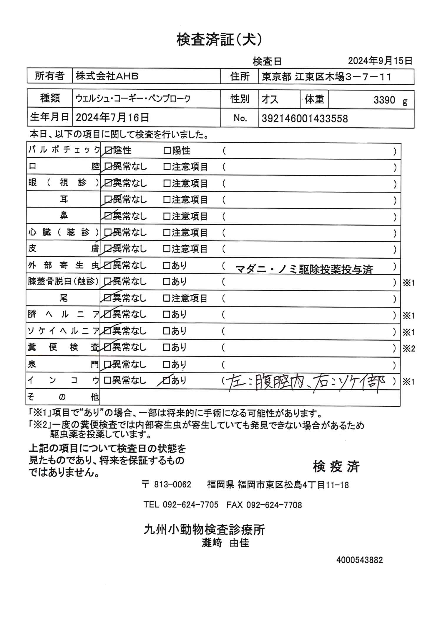 ウェルシュ・コーギー・ペンブローク