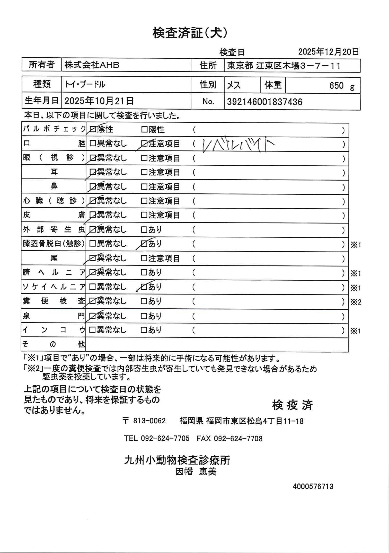 トイ・プードル