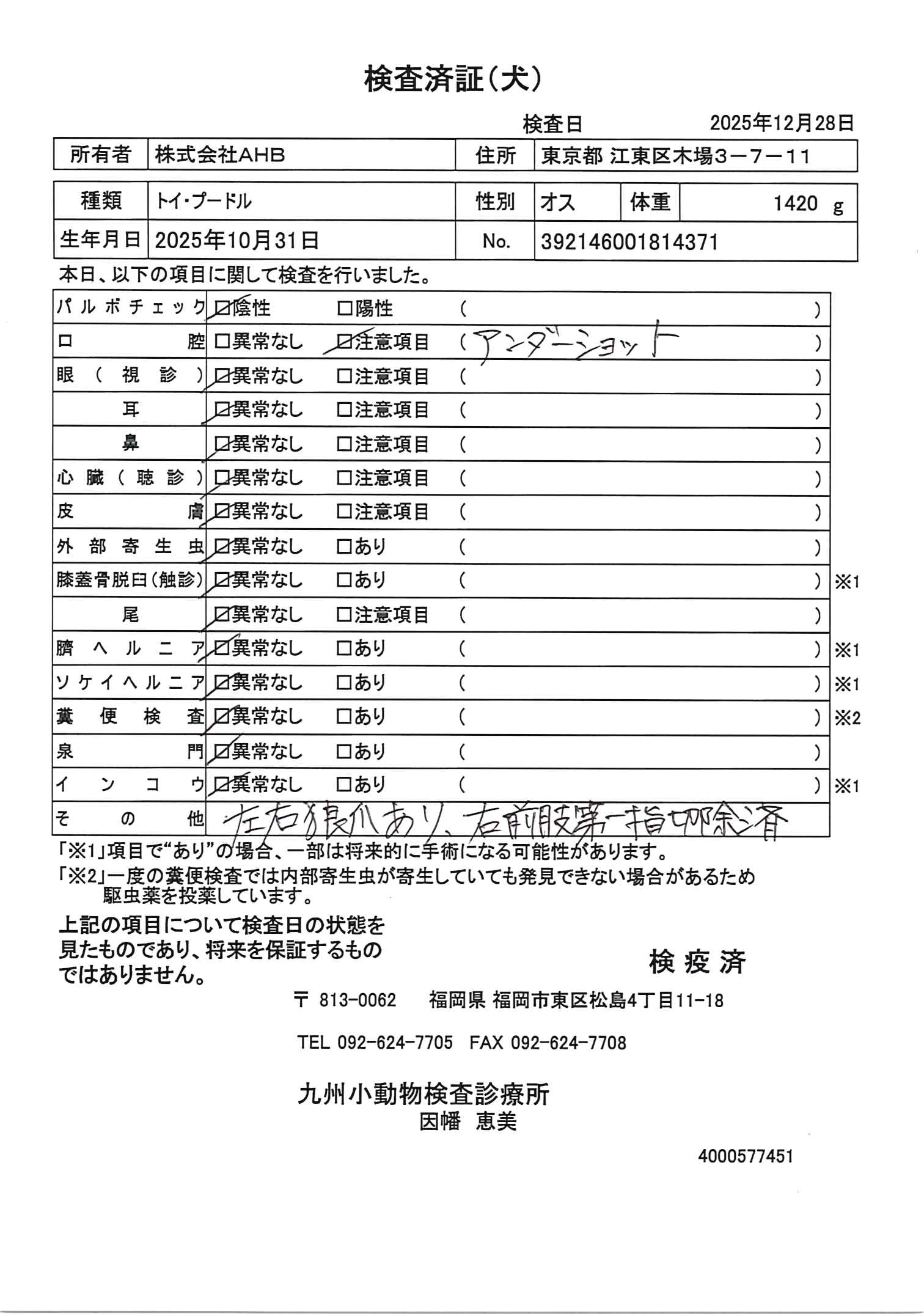 トイ・プードル