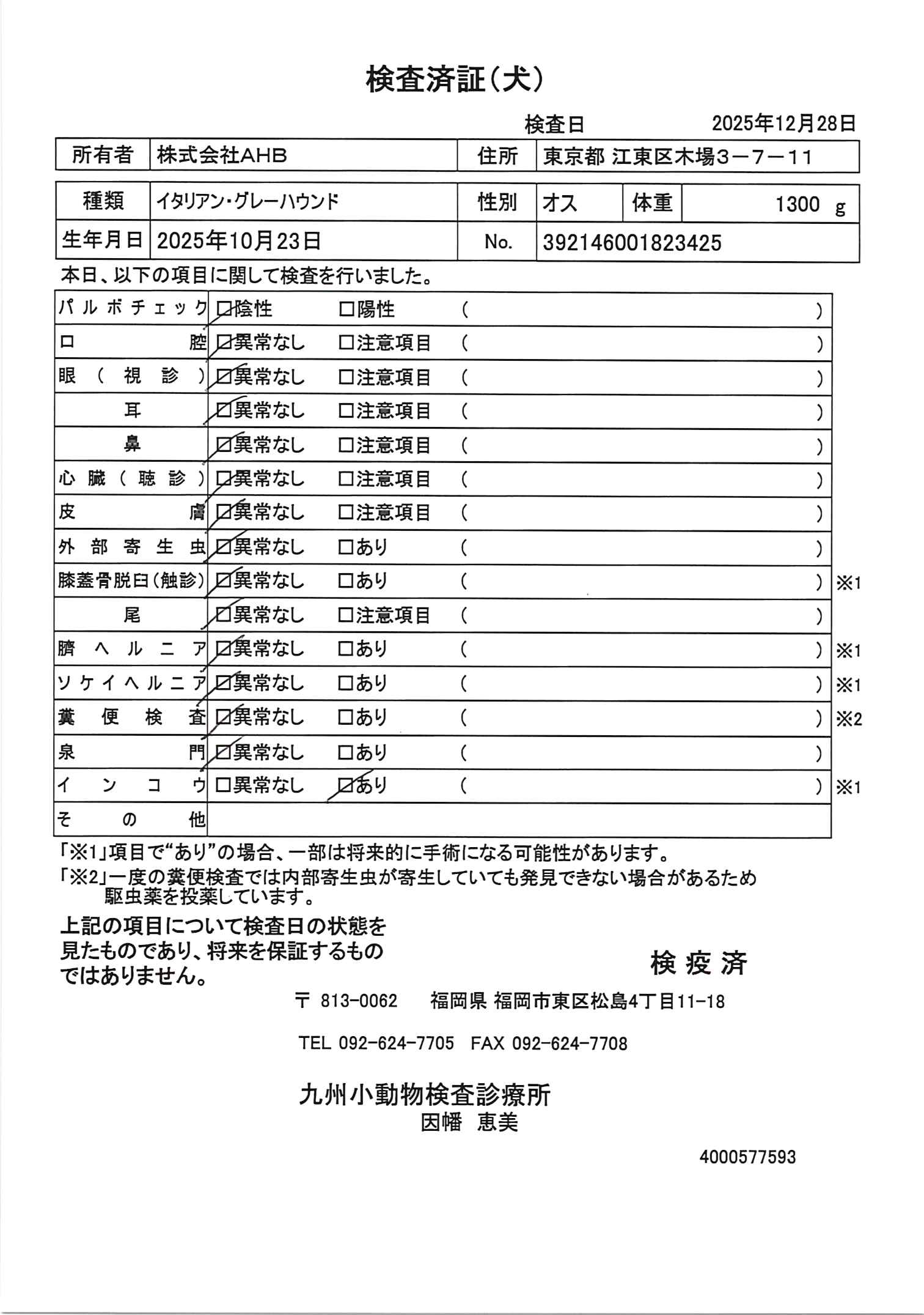 イタリアン・グレーハウンド
