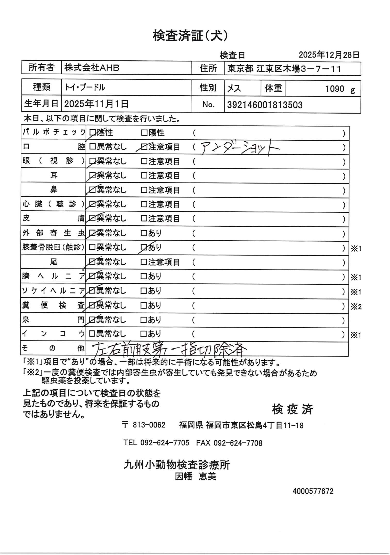 トイ・プードル