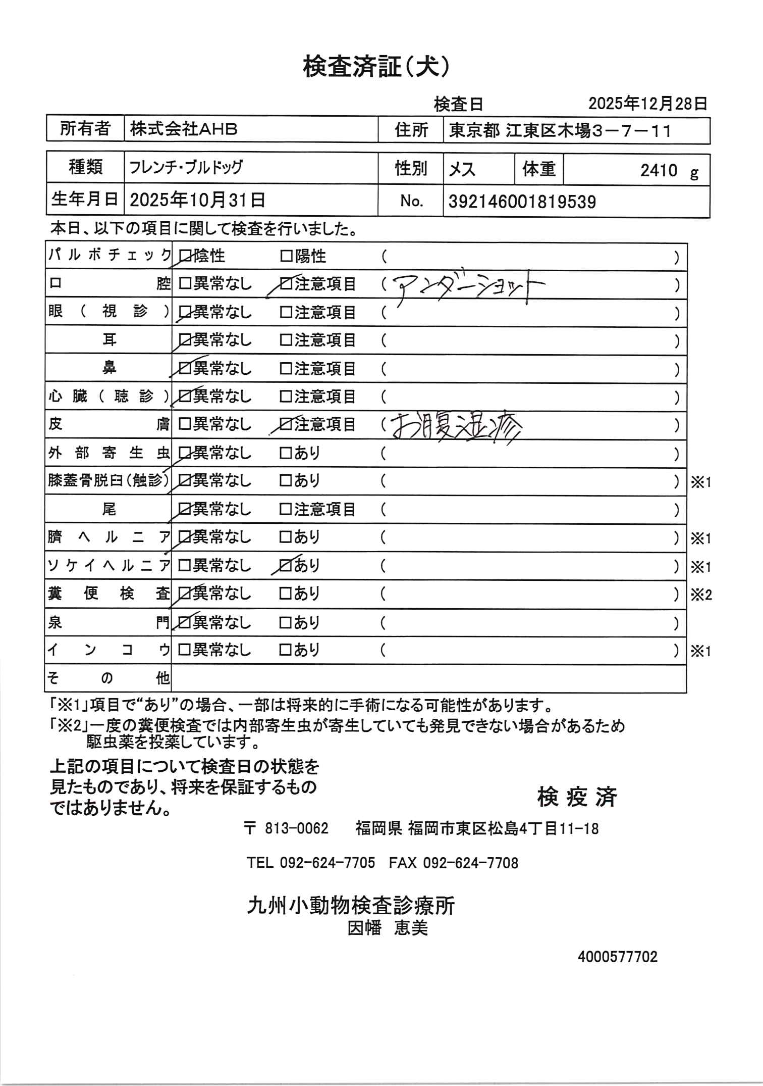 フレンチ・ブルドッグ