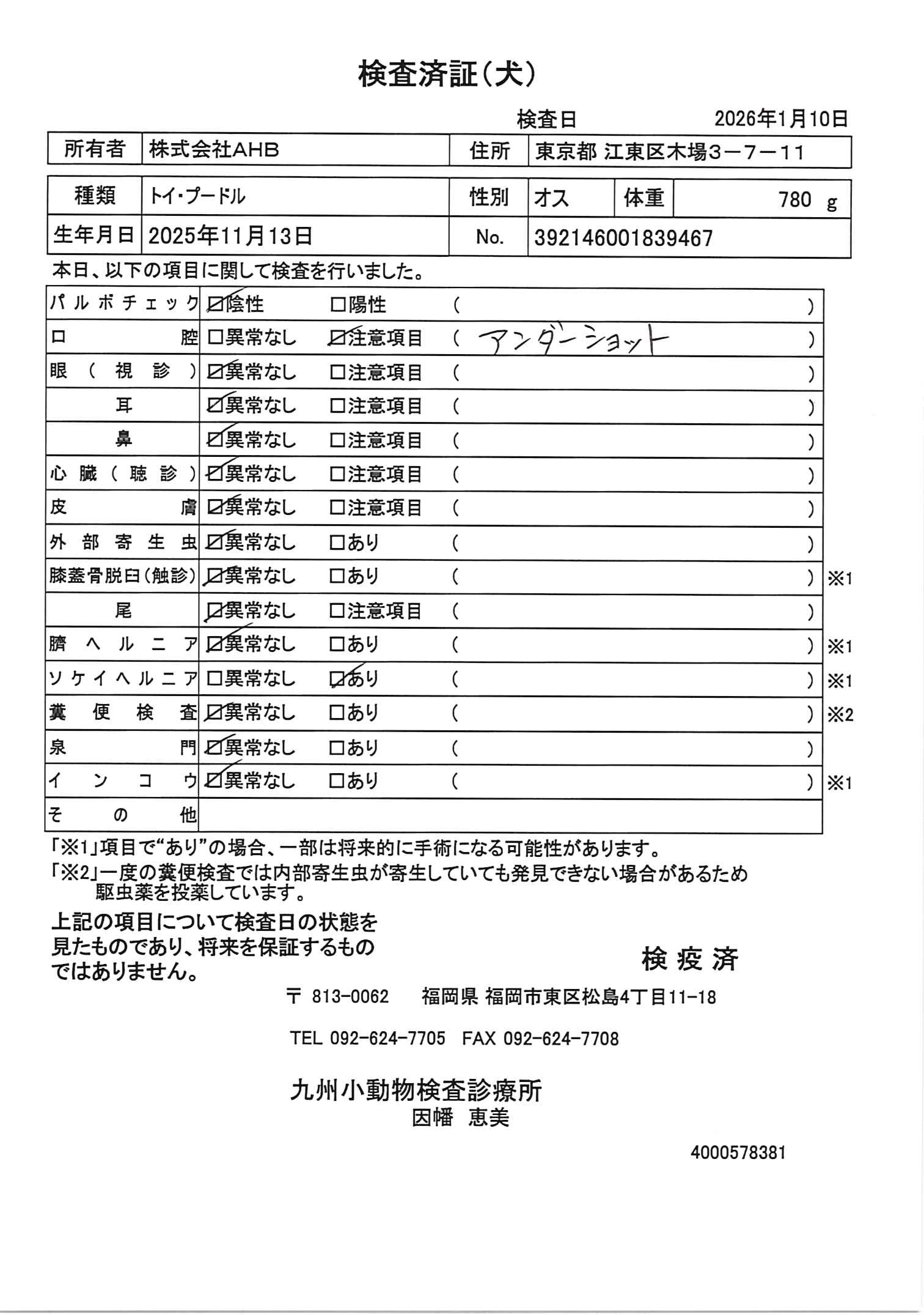 トイ・プードル