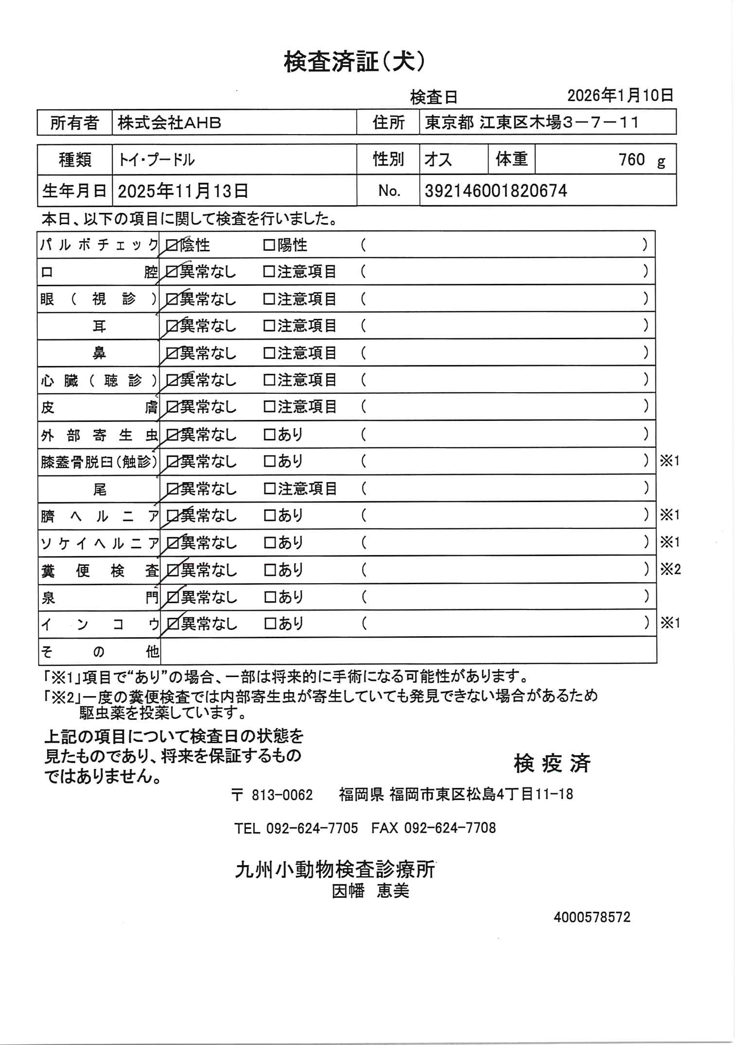 トイ・プードル
