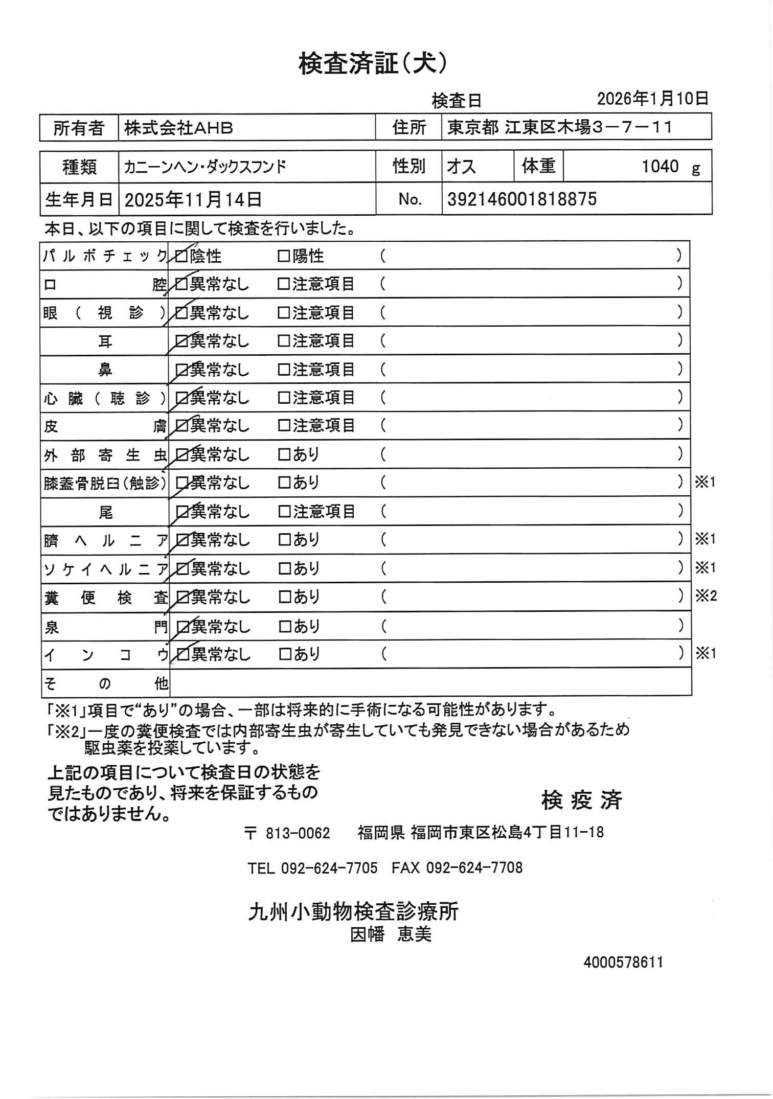 カニーンヘン・ダックスフンド