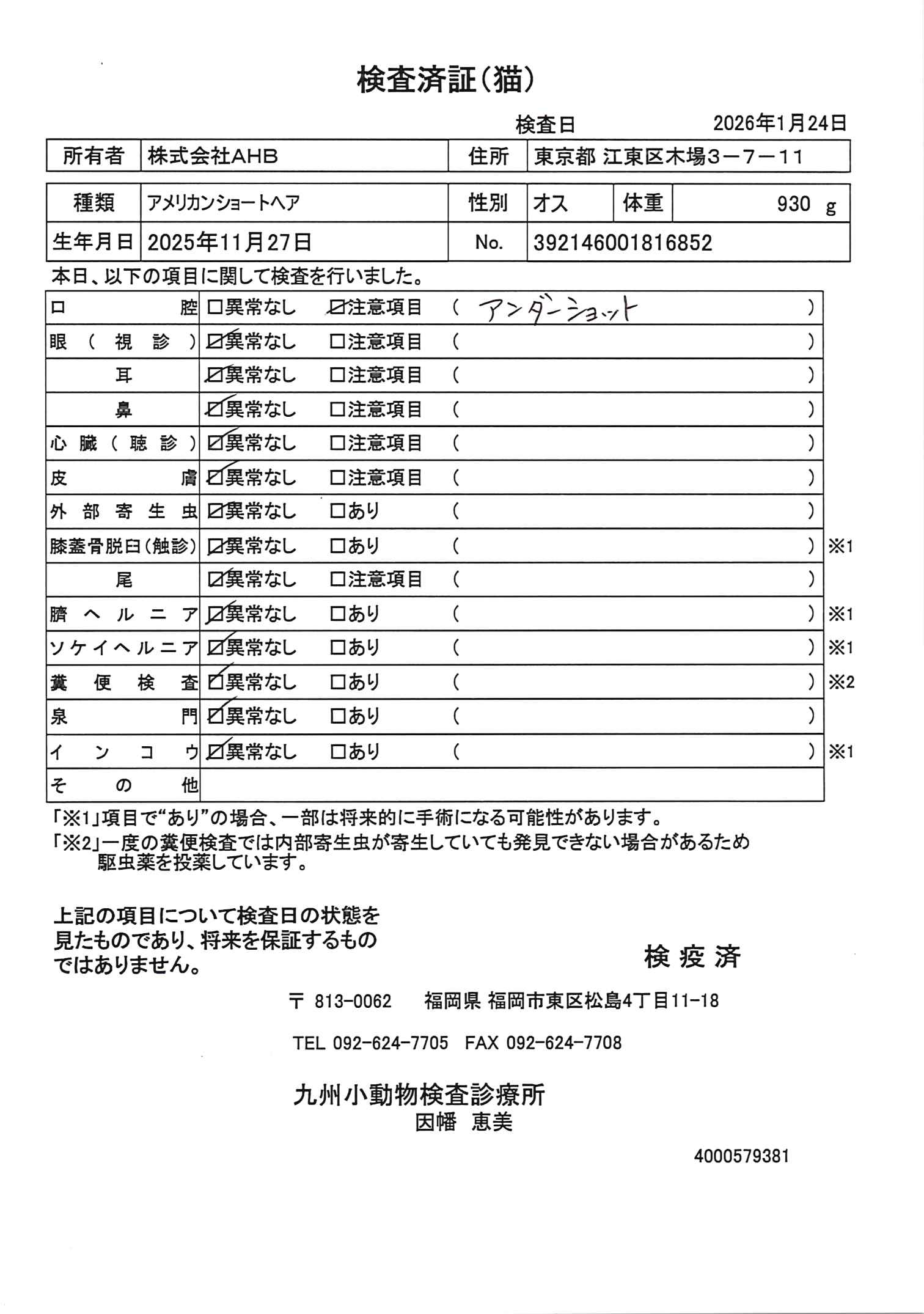 アメリカンショートヘア