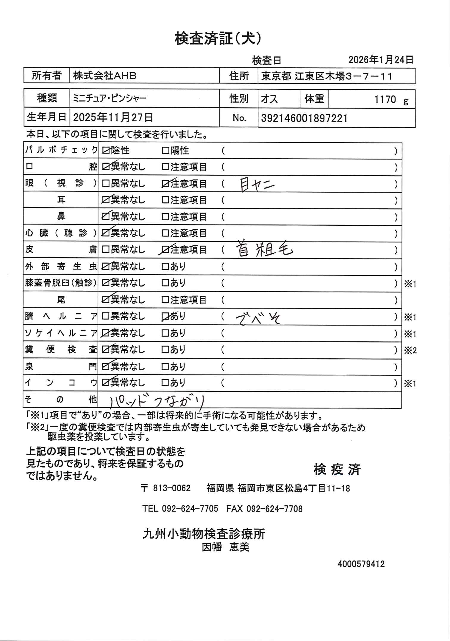 ミニチュア・ピンシャー