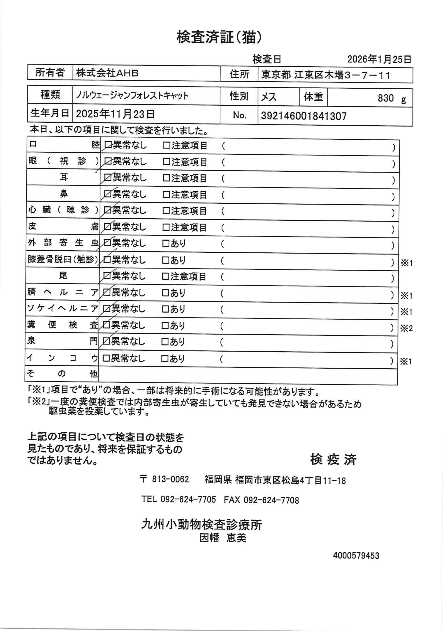 ノルウェージャンフォレストキャット
