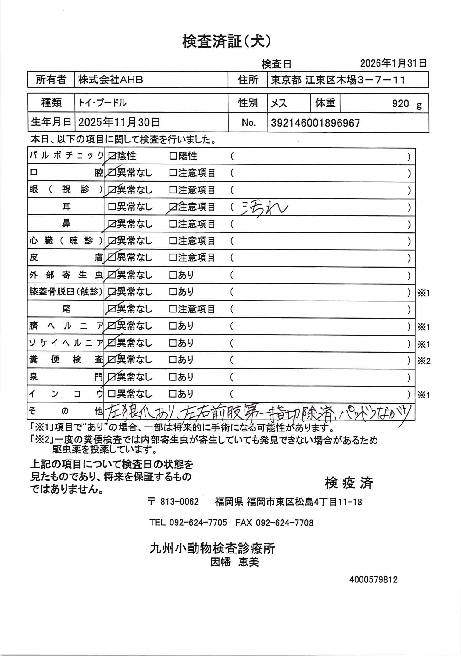 トイ・プードル