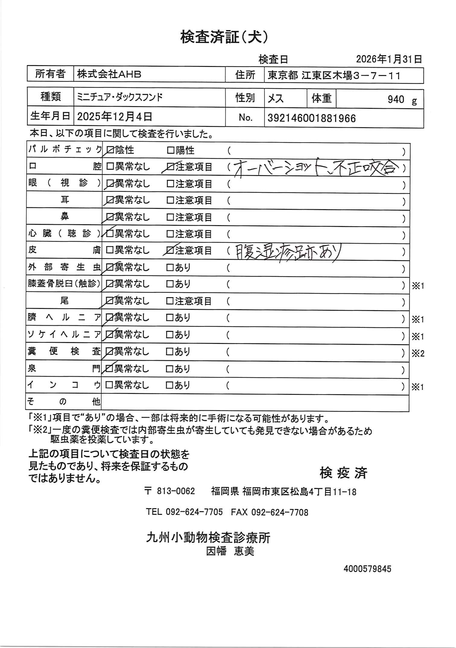 ミニチュア・ダックスフンド