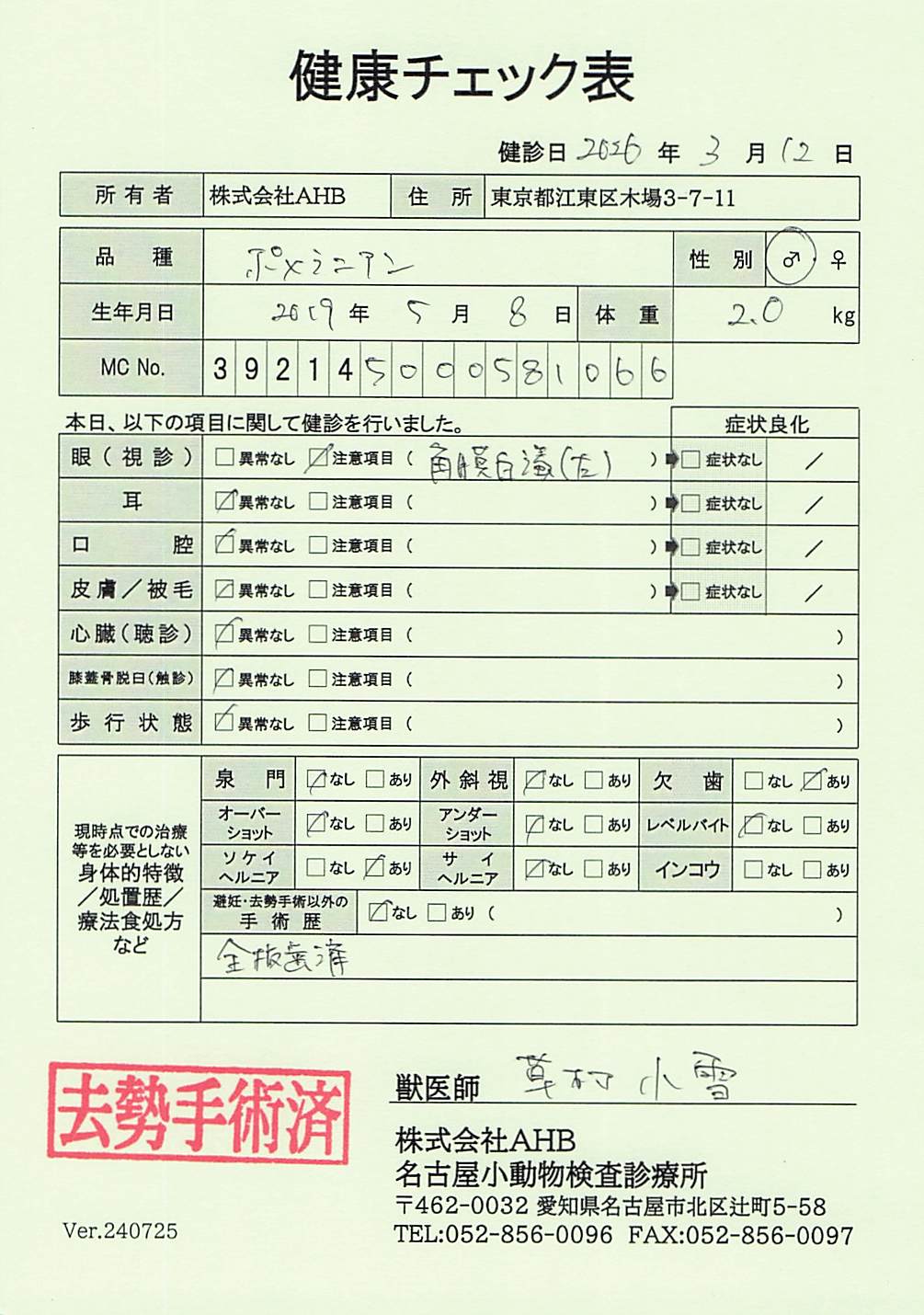 ポメラニアン