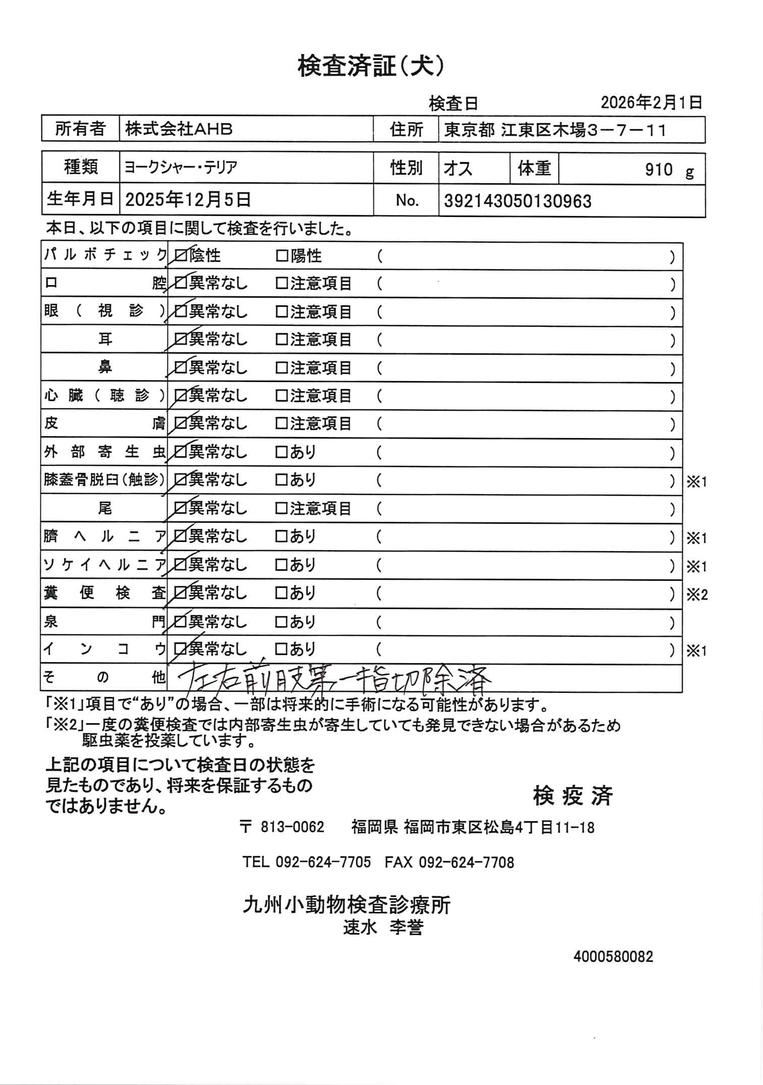 ヨークシャー・テリア