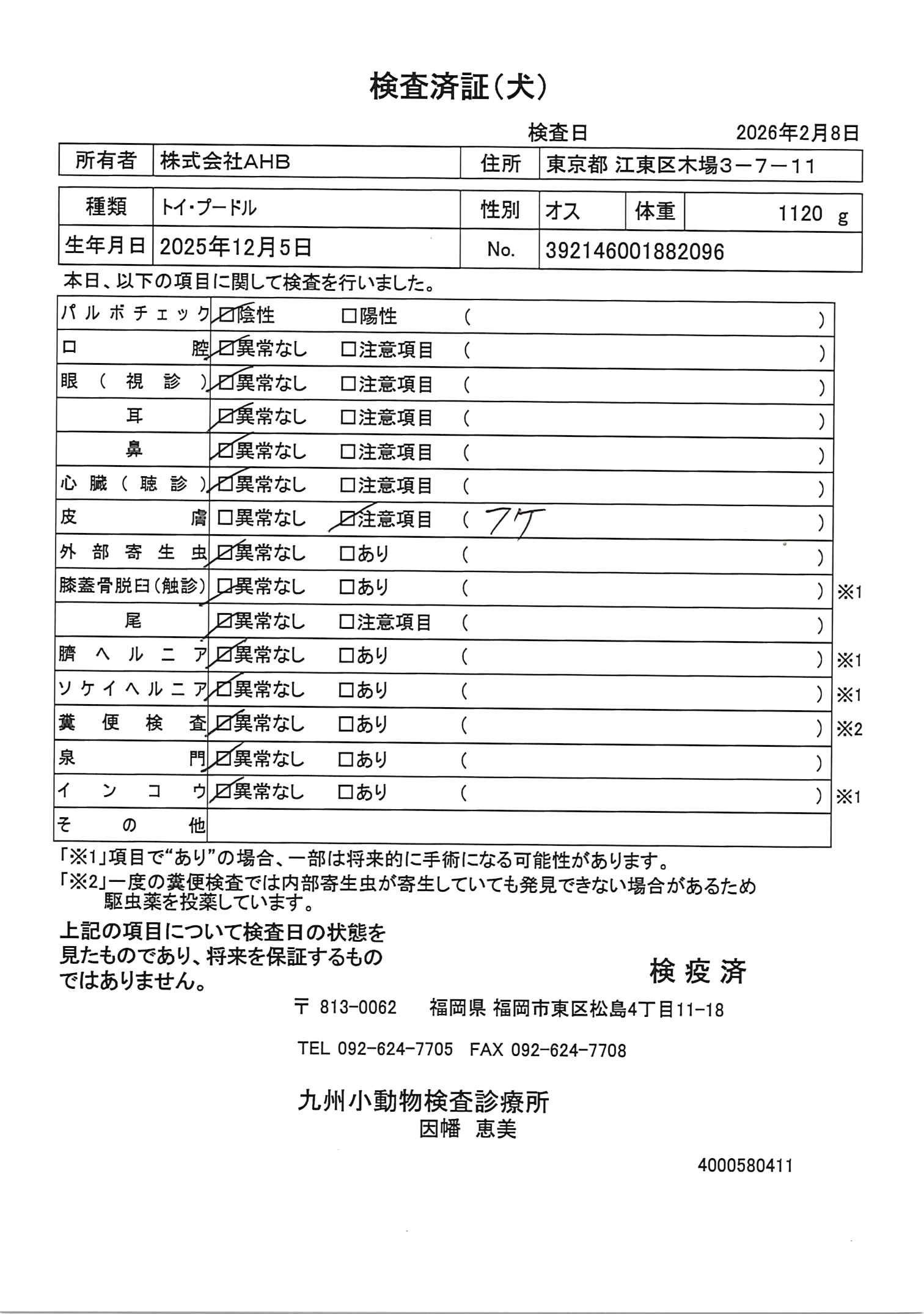 トイ・プードル