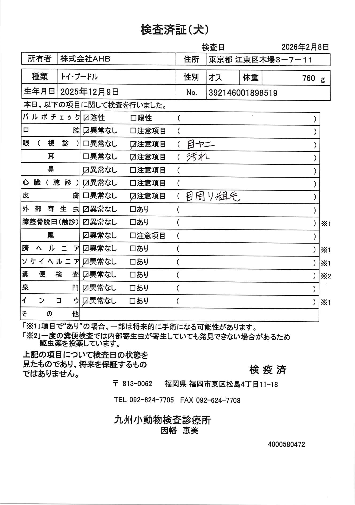トイ・プードル