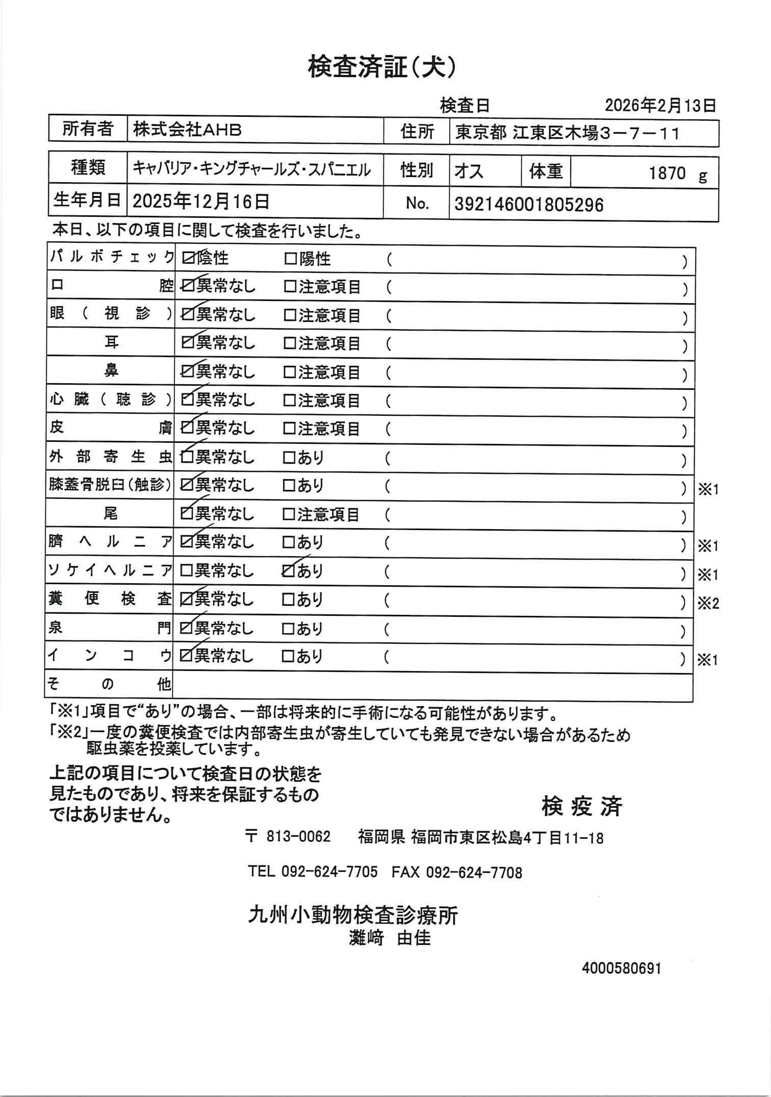 キャバリア・キングチャールズ・スパニエル