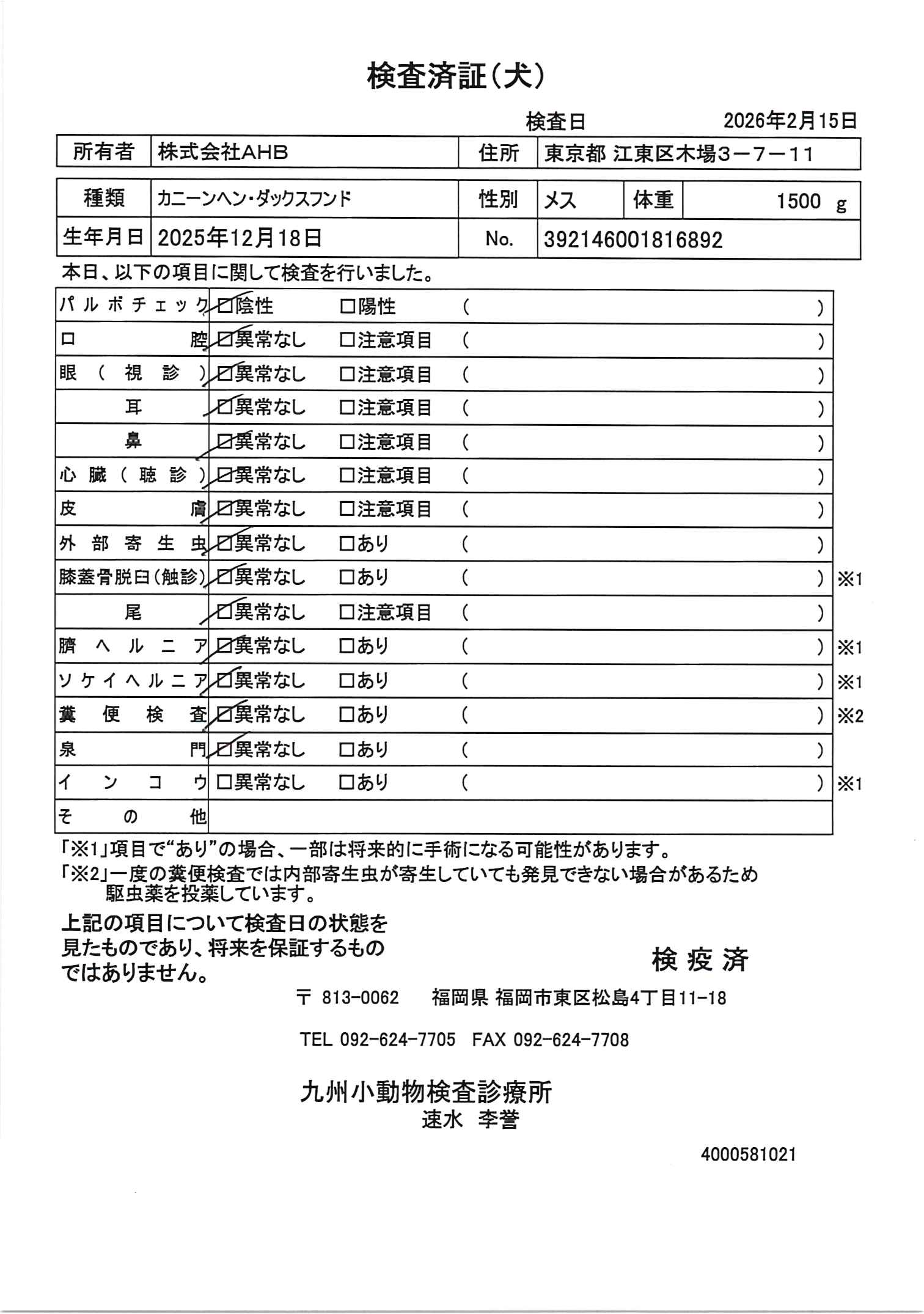 カニーンヘン・ダックスフンド