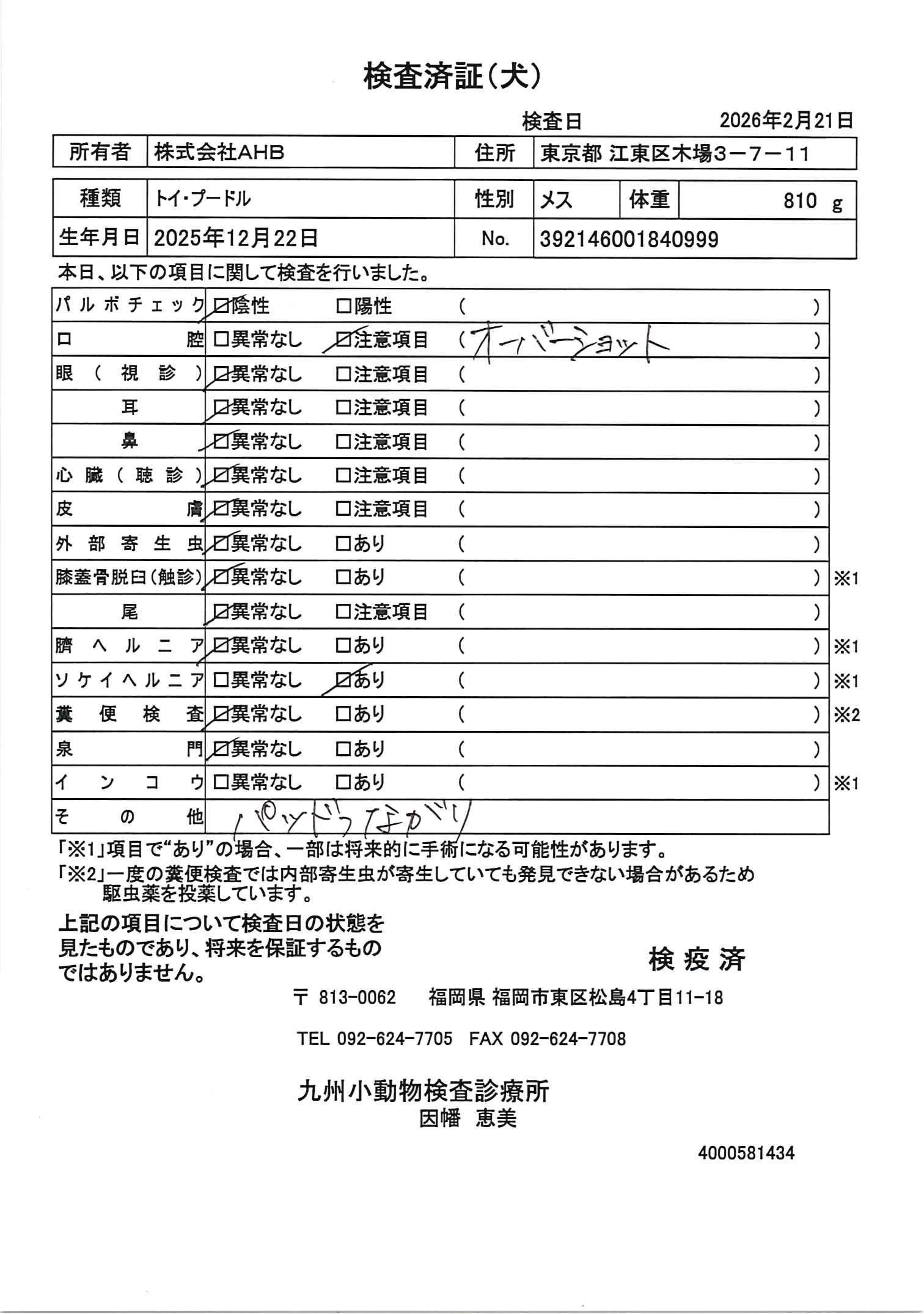 トイ・プードル
