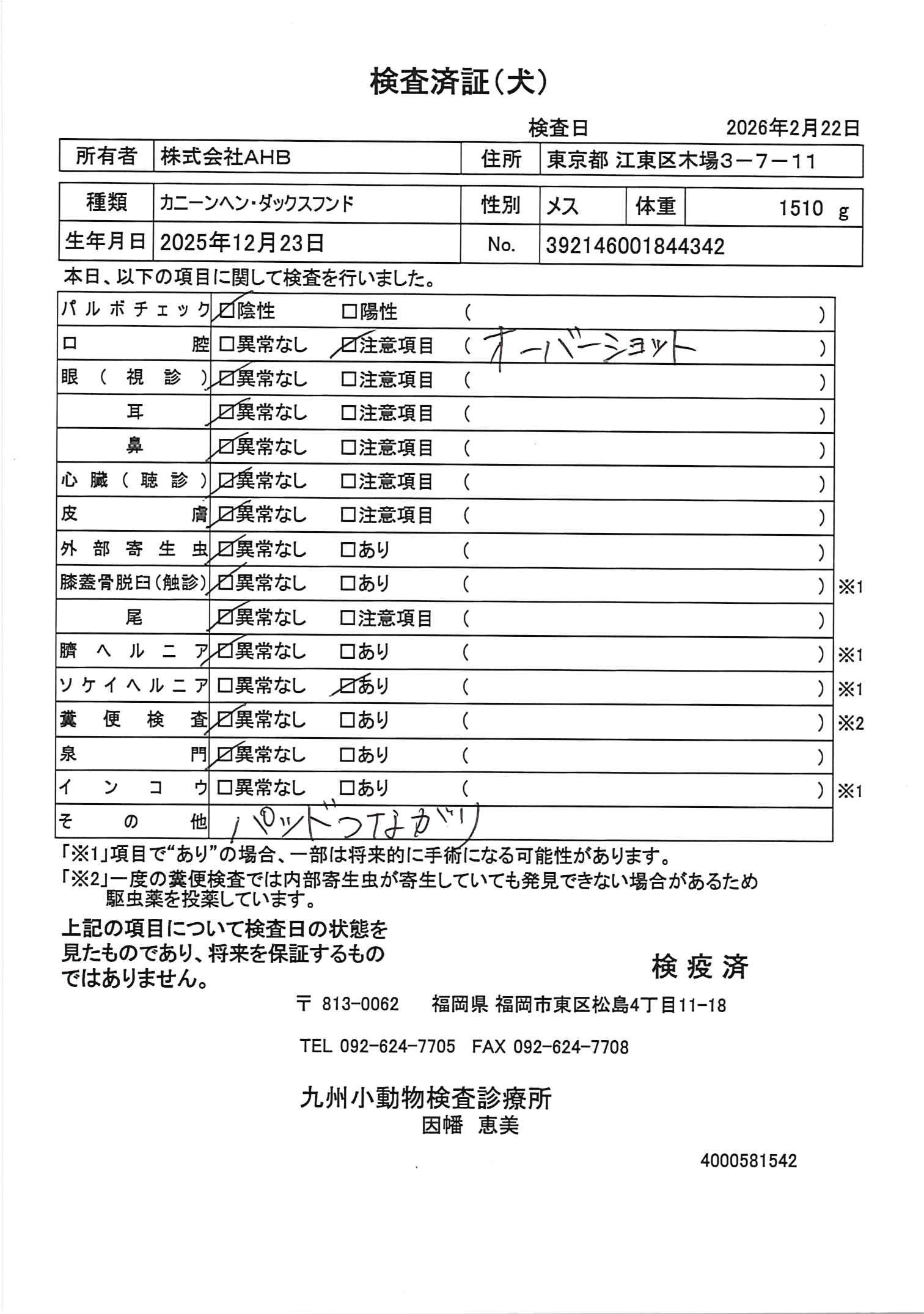 カニーンヘン・ダックスフンド