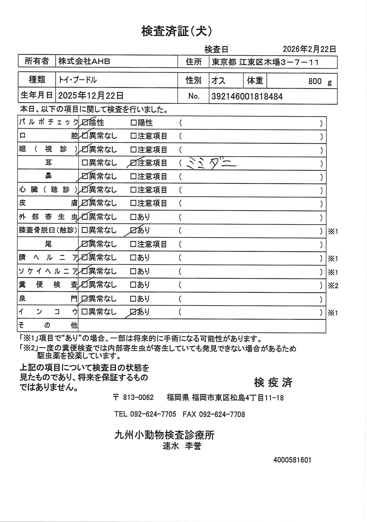 トイ・プードル