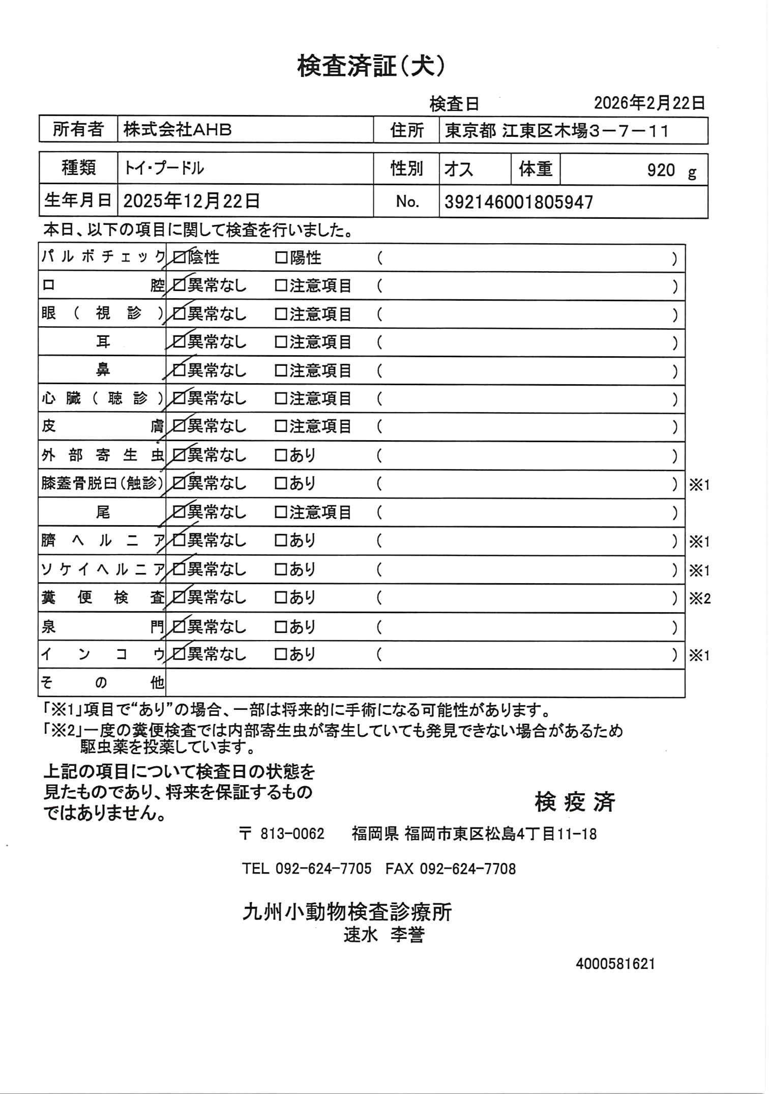 トイ・プードル