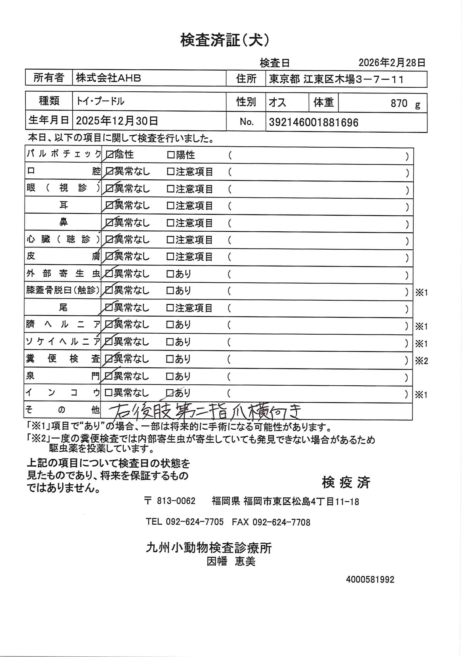 トイ・プードル