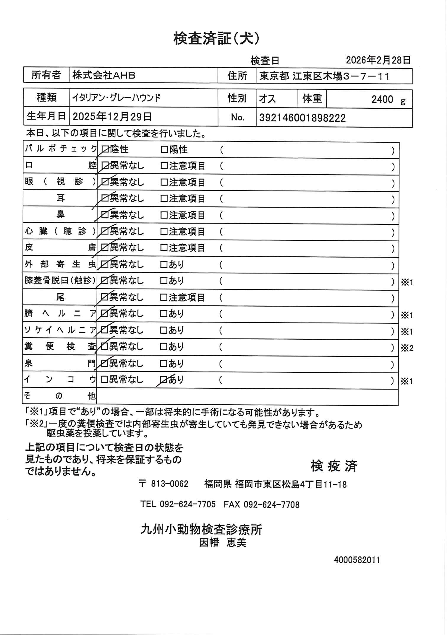 イタリアン・グレーハウンド