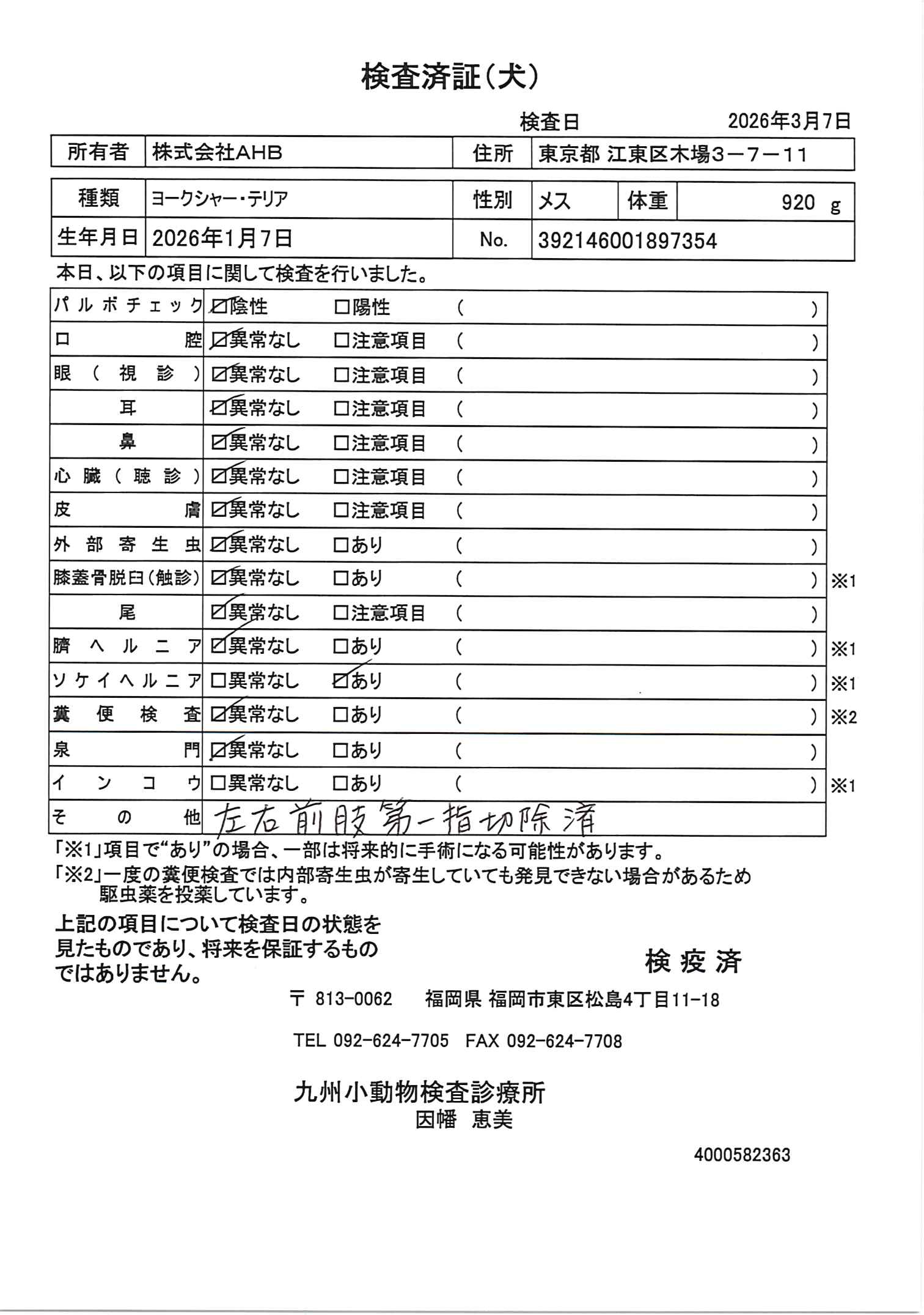 ヨークシャー・テリア