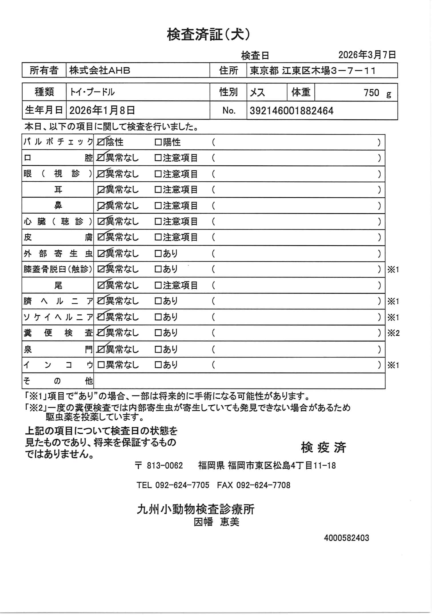トイ・プードル