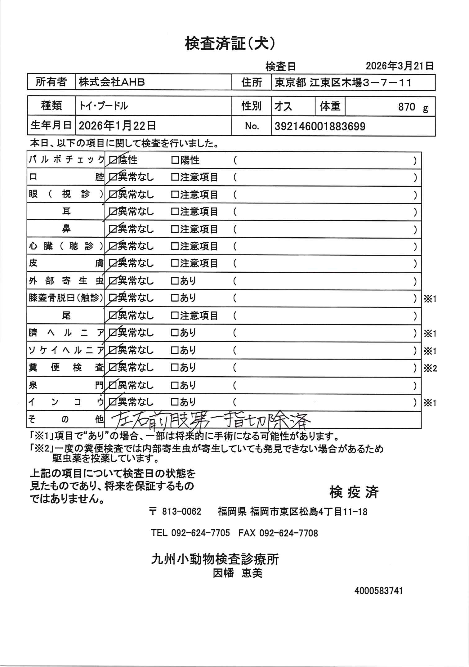 トイ・プードル