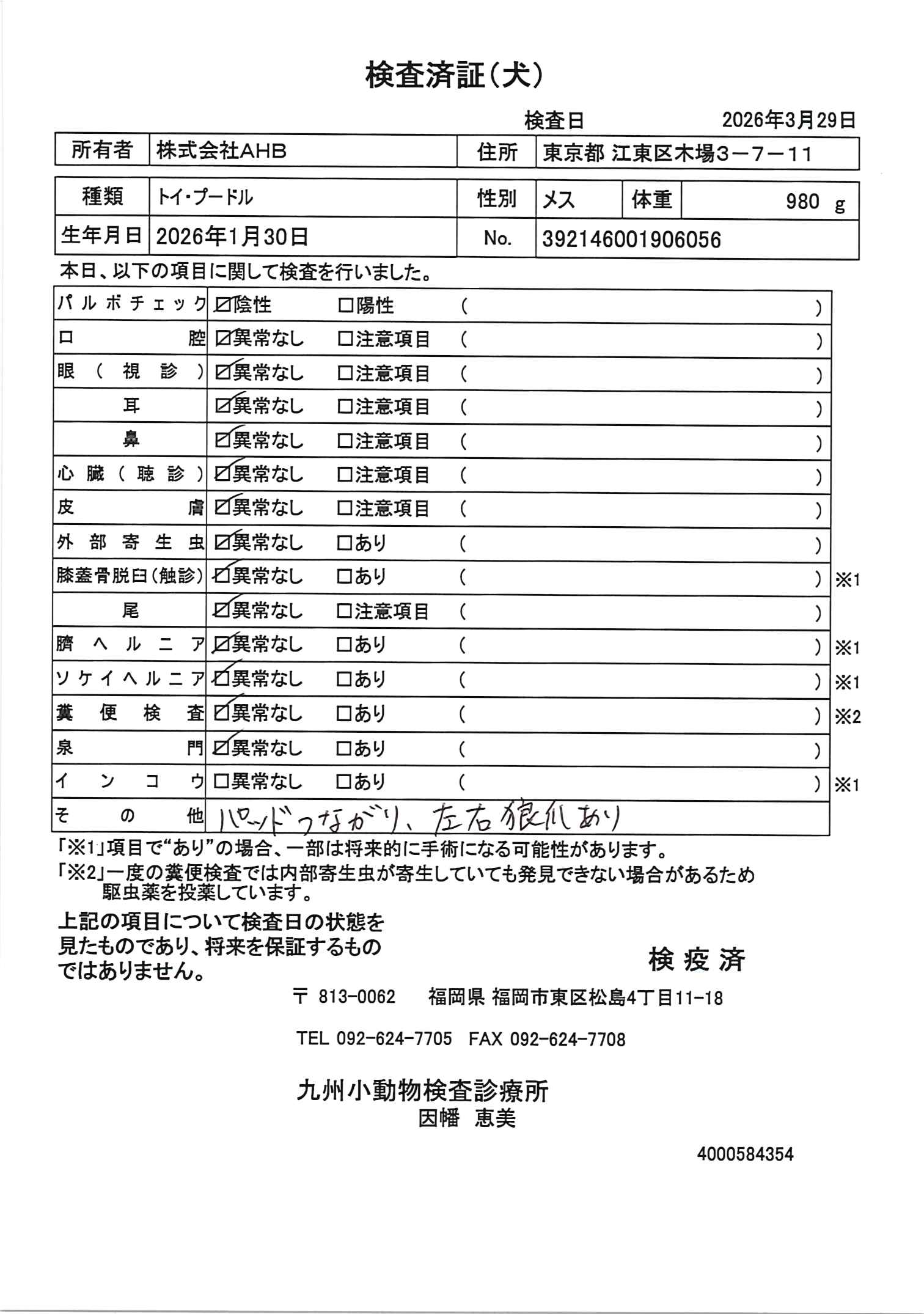 トイ・プードル