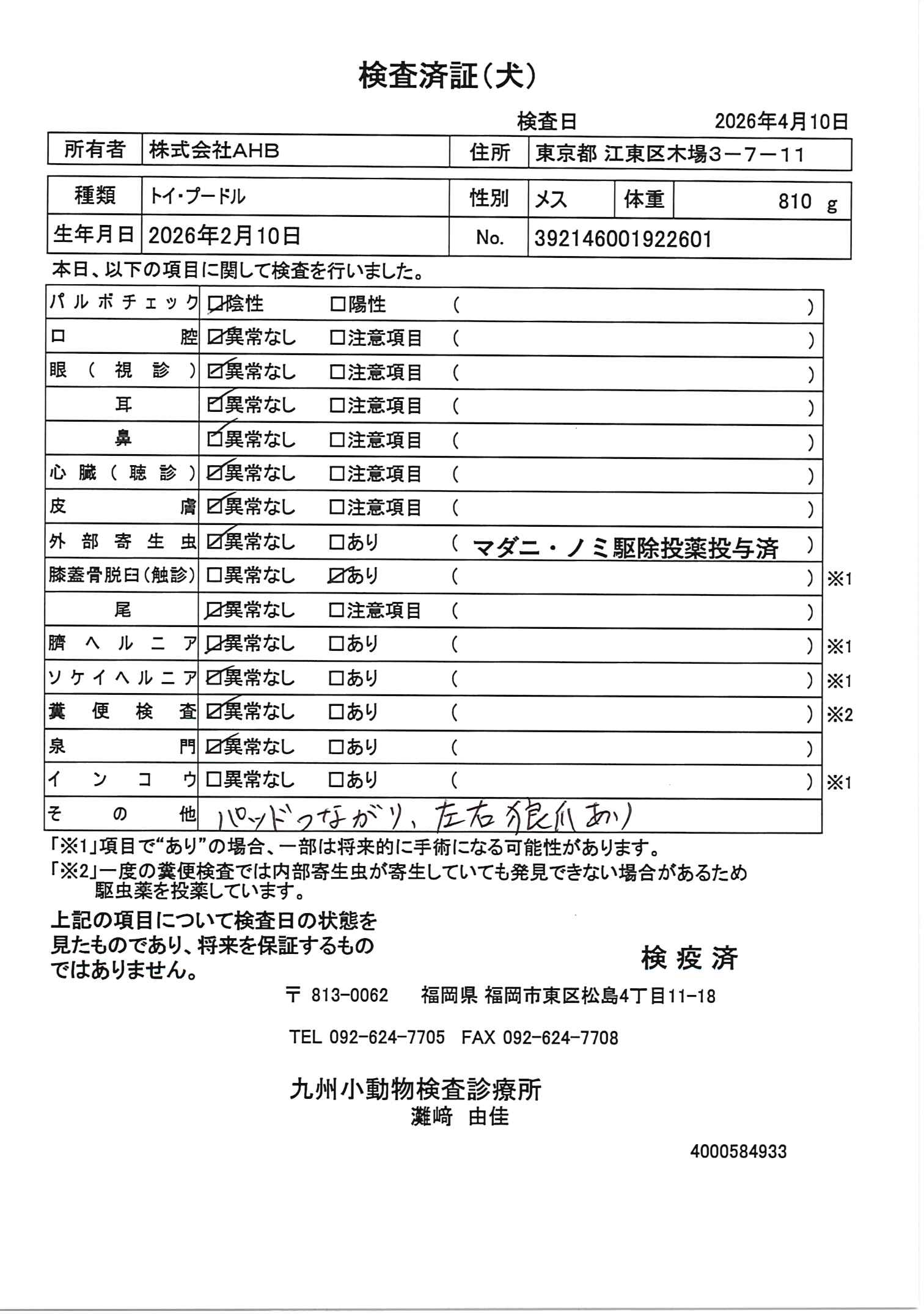 トイ・プードル